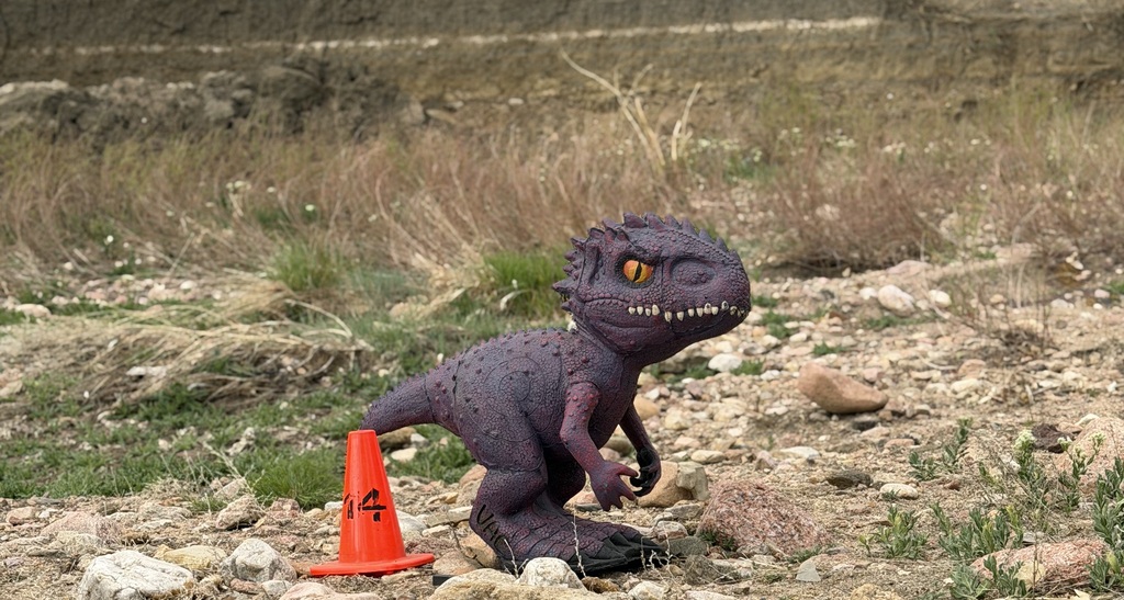Rexy in the rocks